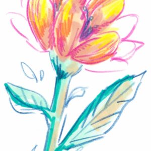 Floral illustration
