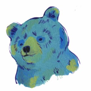 bear illustration