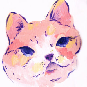 cat illustration