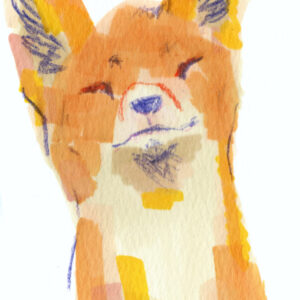 fox illustration