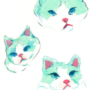 cat illustration