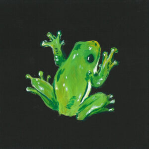 frog illustration