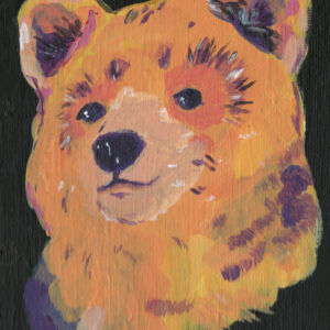 bear illustration