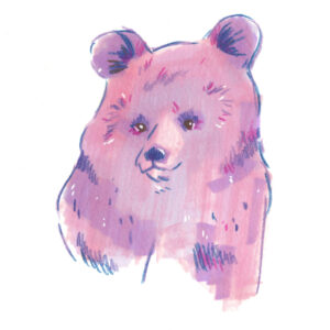 bear illustration