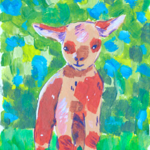 sheep illustration